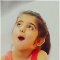 نور الهدى